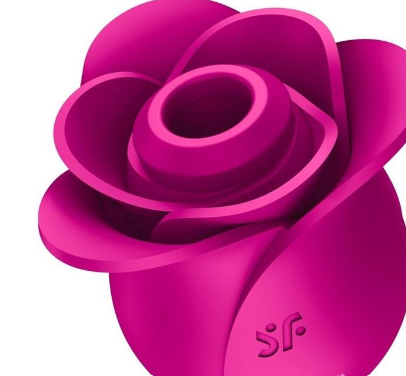 Satisfyer Pro 2 Modern Blossom SATISFYER