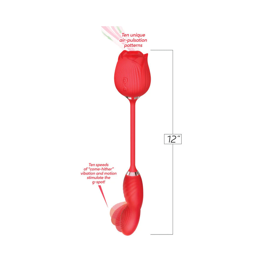 Wild Rose Come Hither and Suction Vibe ICON BRANDS