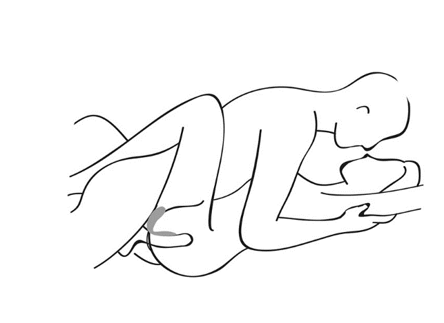 Satisfyer Partner Whale Vibrator - SP BOUTIQUE