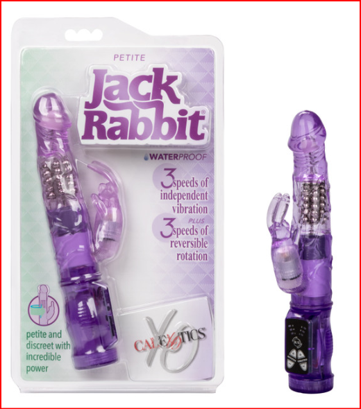 Petite Jack Rabbit CALEXOTIC