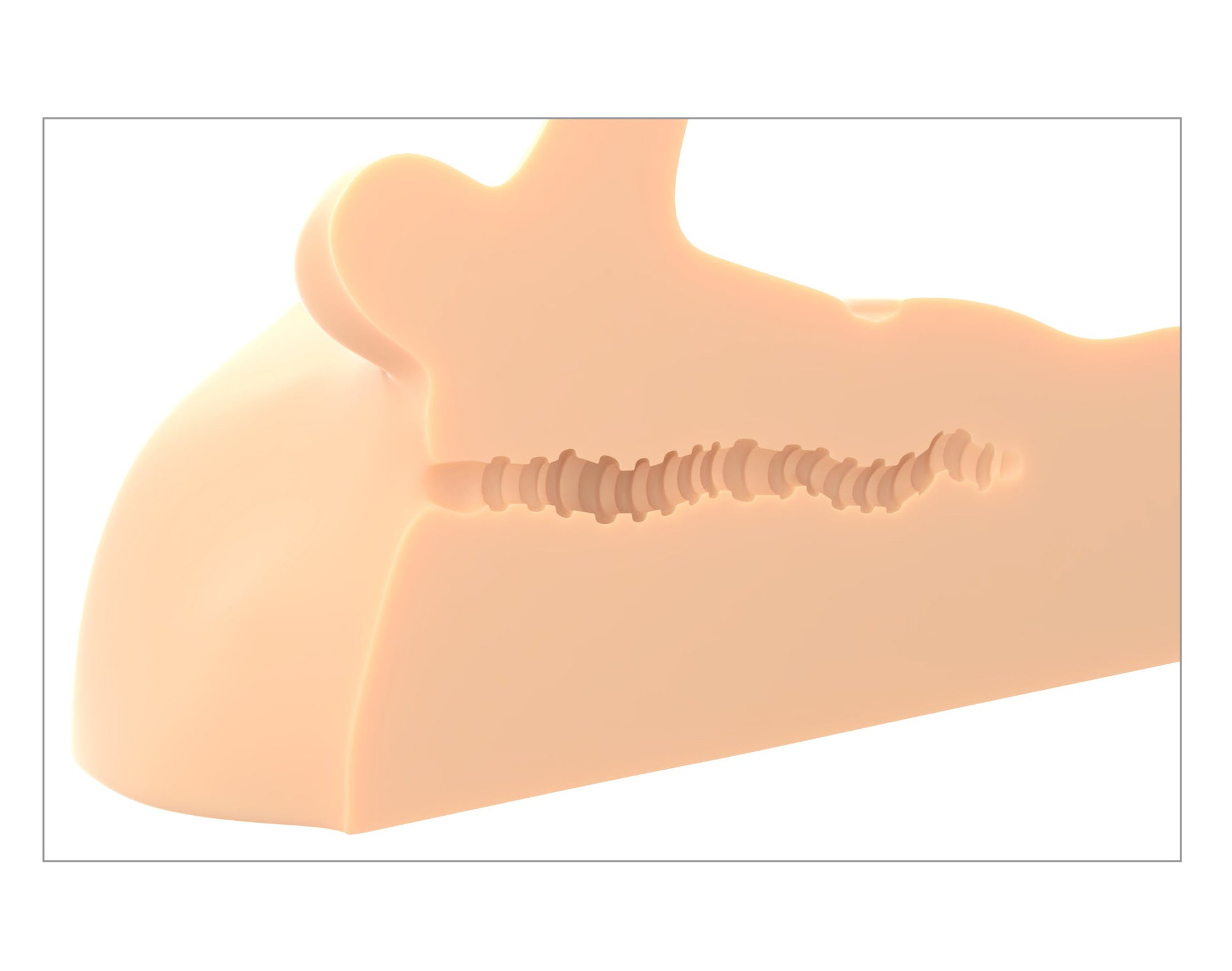 PDX Plus Perfect Ride Dildo and Masturbator