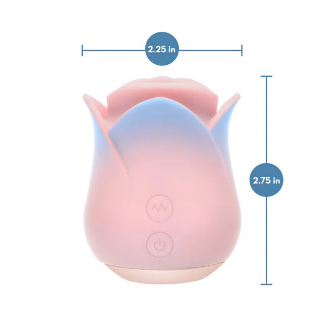 Blush Collection Kissing Rose Pink