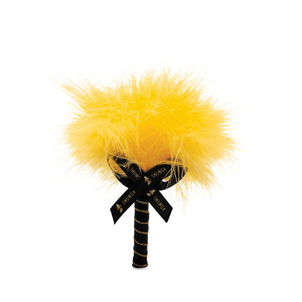 Shunga Kissable Massage SHUNGA