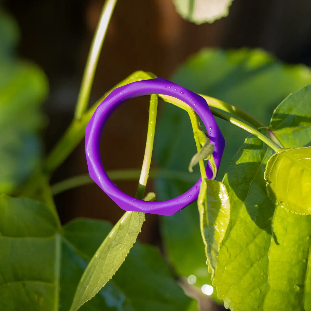 Wellness Geo C Ring - 1.75" Ultrasilk Silicone C Ring for Enhanced Pleasure & Comfort - SP BOUTIQUE