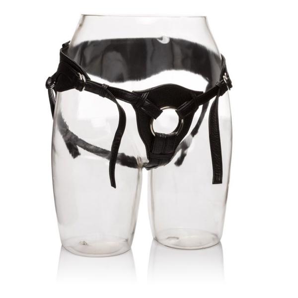 Her Royal Harness Queen Black Boxed - SP BOUTIQUE