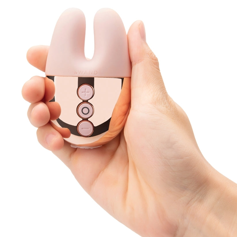 Le Wand Double Vibe - SP BOUTIQUE