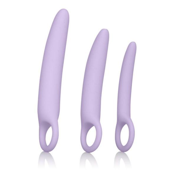 Dr Laura Berman Alena Set Of 3 Silicone Dilators - SP BOUTIQUE