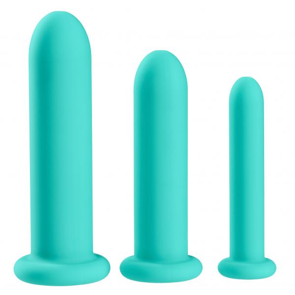 Cloud 9 Health & Wellness Silicone Dilator Kit (for Vaginal Or Anal Use) - SP BOUTIQUE