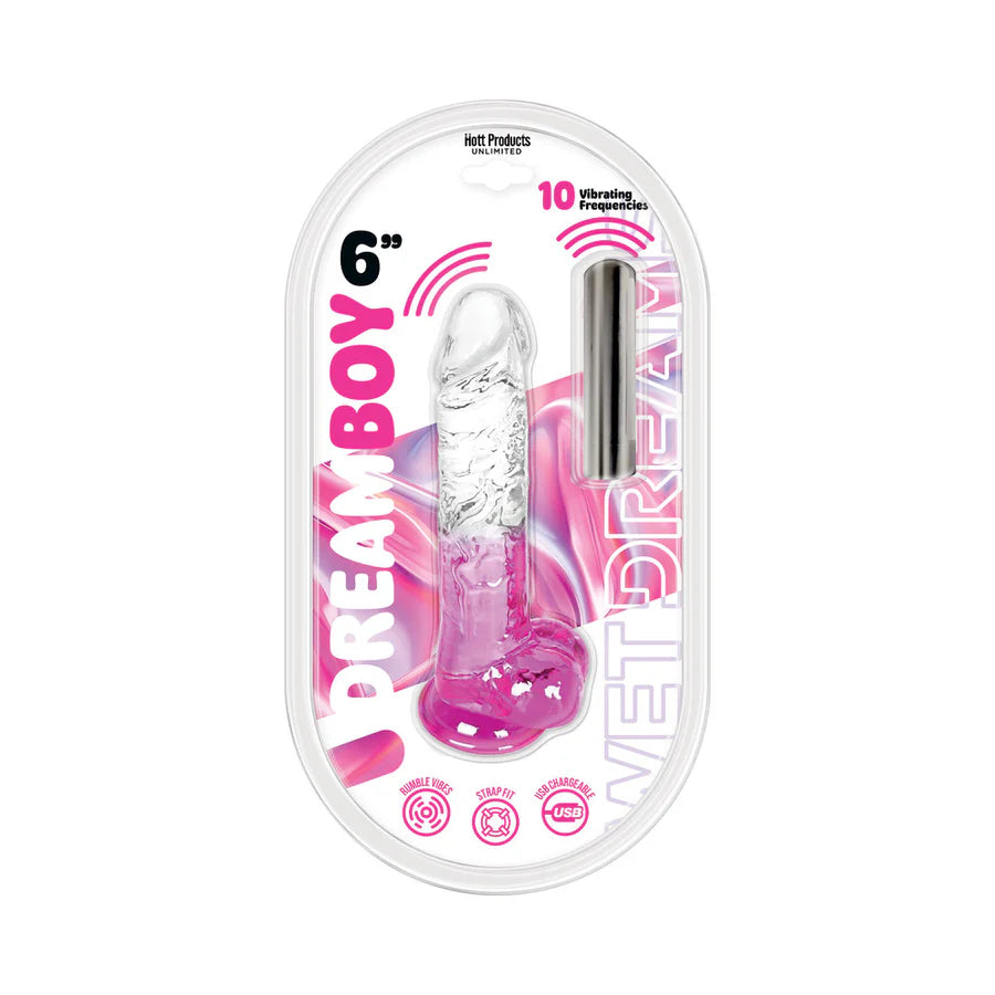Wet Dreams Dream Jelly Dildo &amp; Rechargeable Bullet 6 inch