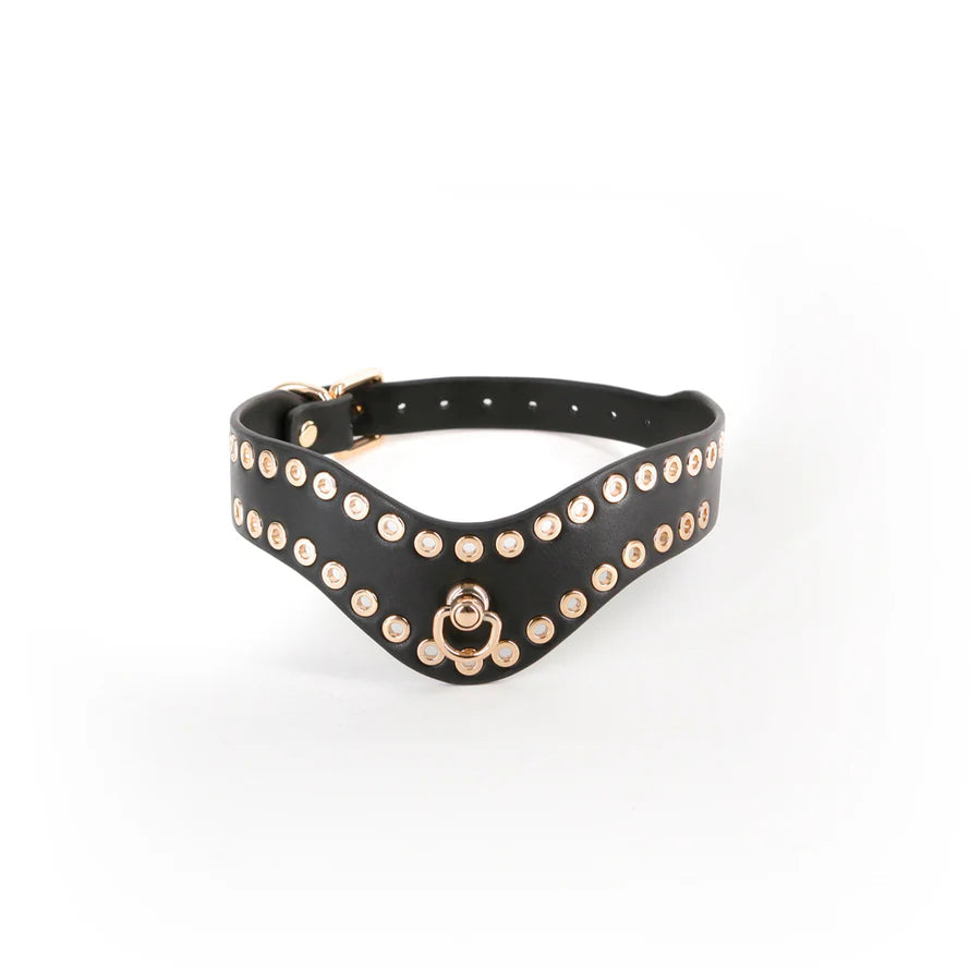 Hustler Taboo Kali Collar HUSTLER