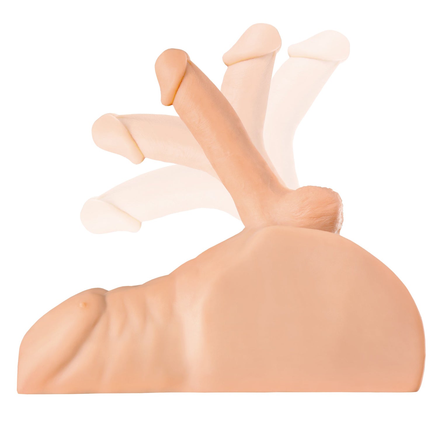 PDX Plus Perfect Ride Dildo and Masturbator