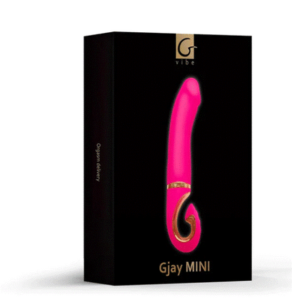 Gvibe Gjay MINI Wildberry GVIBE