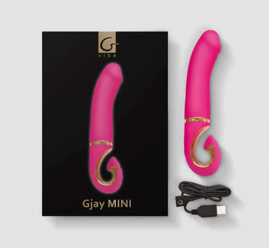 Gvibe Gjay MINI Wildberry GVIBE