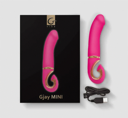 Gvibe Gjay MINI Wildberry GVIBE