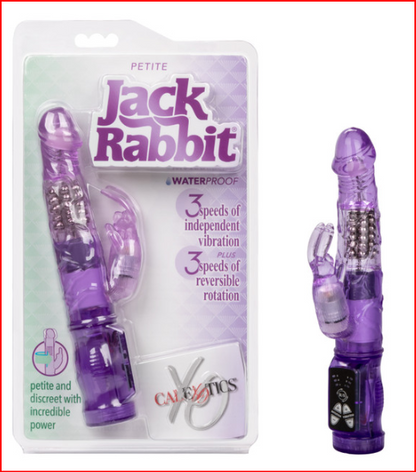 Petite Jack Rabbit CALEXOTIC