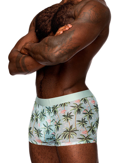 Sheer Prints - Seamless Sheer Short Flamingo MALE POWER