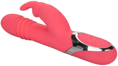 Enchanted Exciter - SP BOUTIQUE