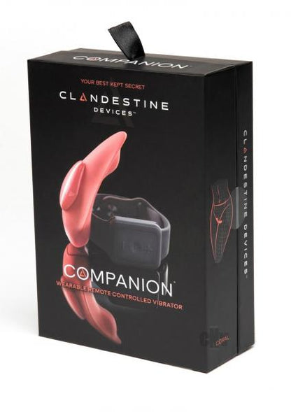 The Companion Remote Control Panty Vibe