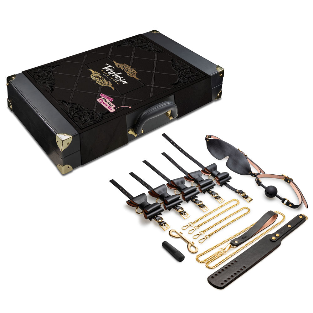 Temptasia Safe Word 10-Piece Bondage Kit with Suitcase - SP BOUTIQUE